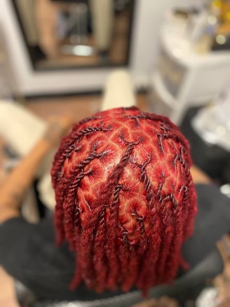 Loc style by Crowned Essence